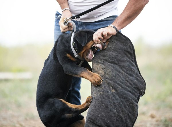 How can you protect your car from theft in major UK cities?